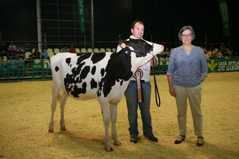 Secci�n 9: Ternera Campeona