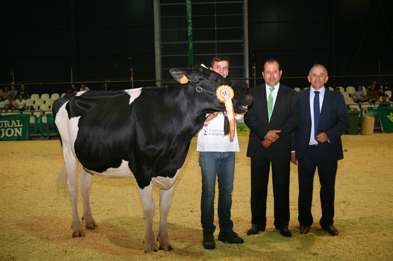 Secci�n 11: Novilla Subcampeona