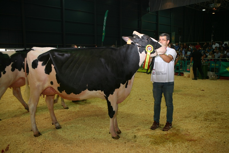  Secci�n 12: Vaca Joven Lactaci�n hasta 30 meses