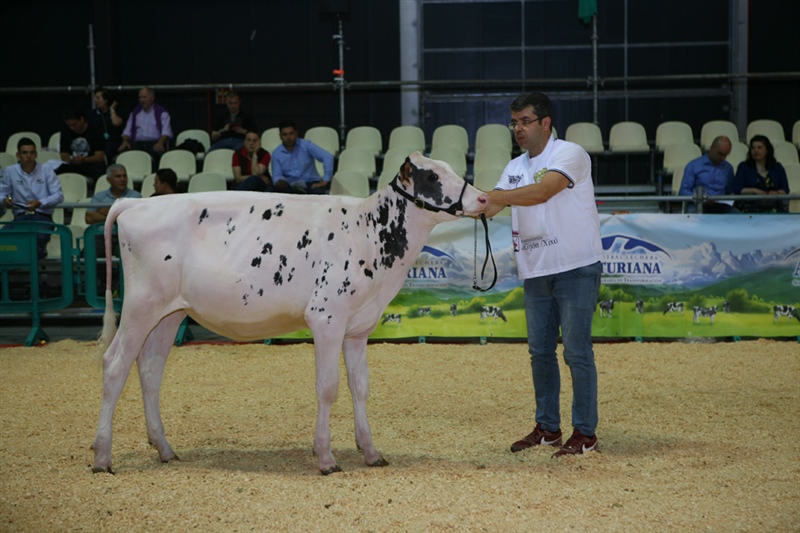  Ternera Subcampeona ASCOL