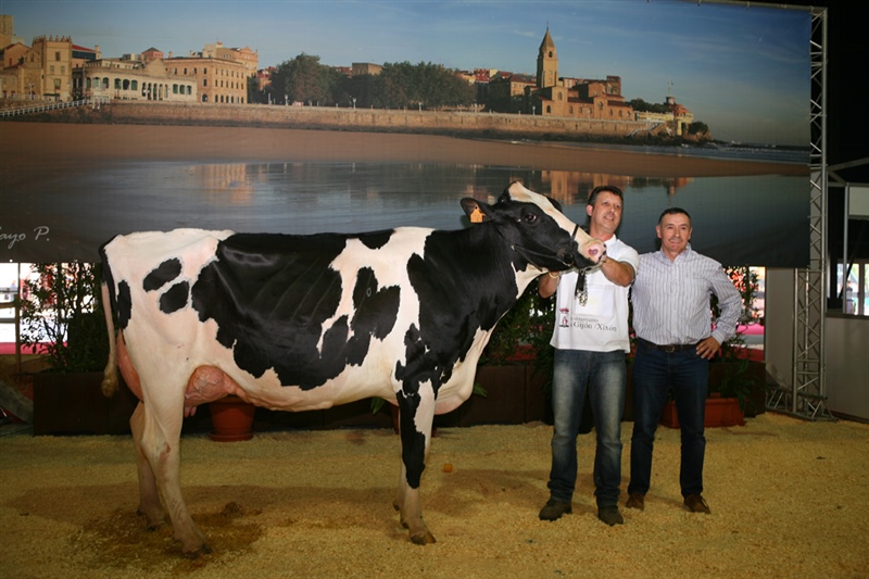 Vaca Campeona ASCOL