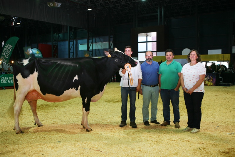  Vaca Intermedia Subcampeona
