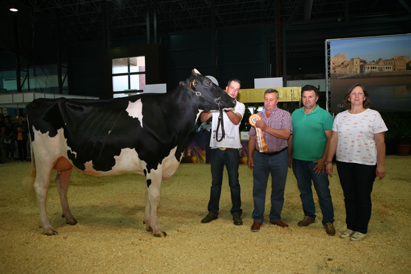  Vaca Joven Subcampeona