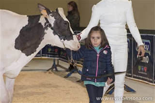 Manejadores infantiles 2