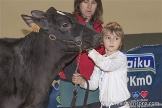 Manejadores infantiles 3