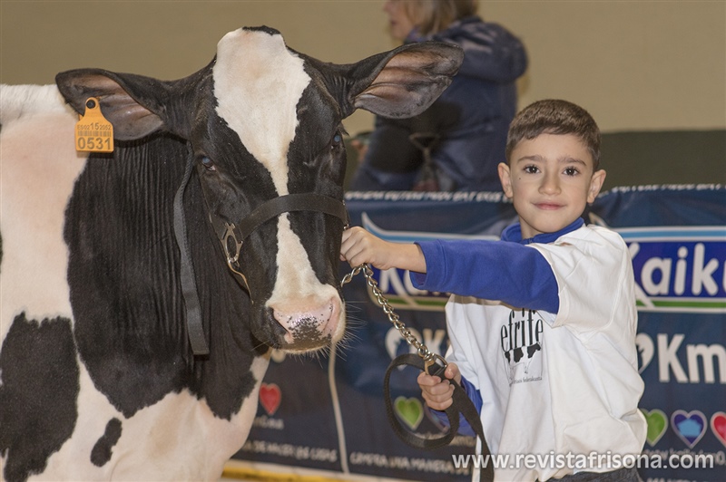 Manejadores infantiles 7