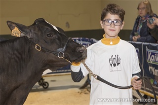 Manejadores infantiles 8