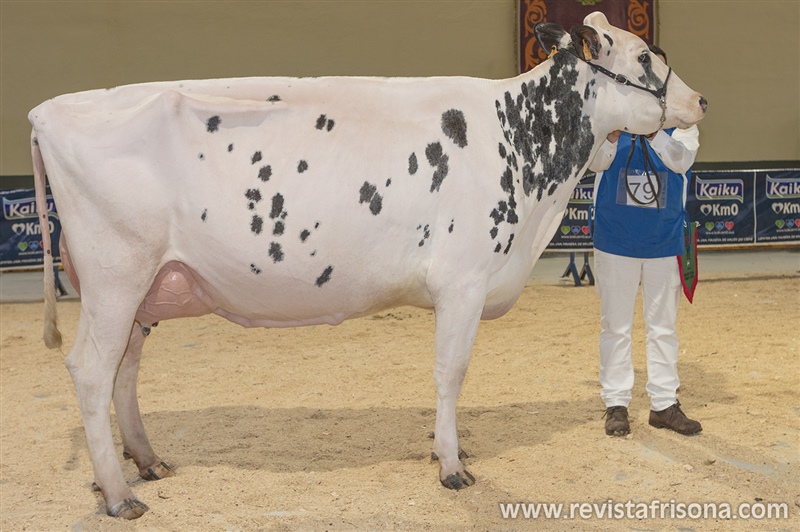 Secc. 6. Vacas en lactacion de 4 a 5 a