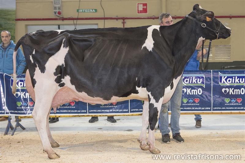Secc. 7. Vacas en lactacion de 5 o mas a