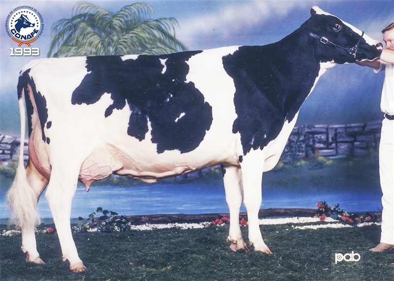 1993: Vi�a Tempo Alhambra (Casa Vi�a, Asturias)