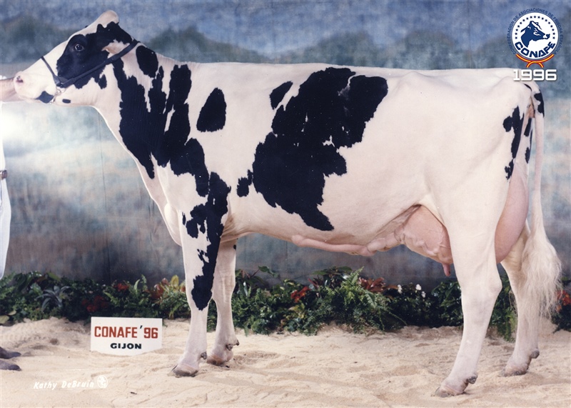 1996: Retortillo Lindy Pisde (Granja de Retortillo, Burgos, Castilla y Le�n)