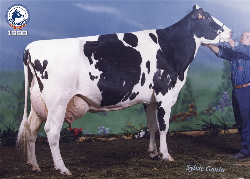 1998: Nayo Sabastian Luna (Xacal�n, Asturias)