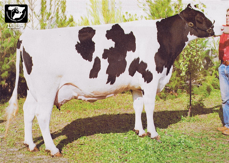 1984: Gaztelu Unique Miss (La Traves�a, Navarra)