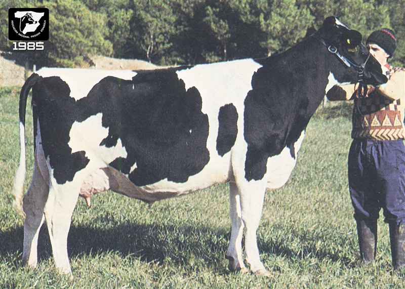 1985: Xero Threat Tecla (La Traves�a, Navarra)