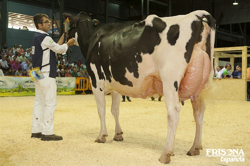 1� Secci�n 14�: Badiola Airlift Kenda