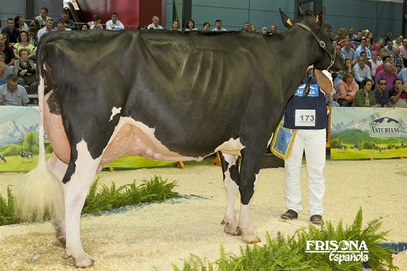 1� Secci�n 16�: Llinde Ariel Jordan