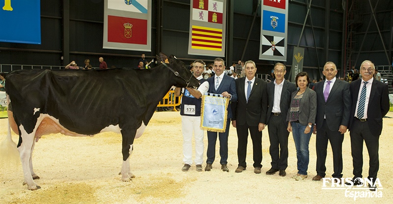 2� Secci�n 21�: Vaca Gran Campeona Nacional Reserva - Llinde Ariel Jordan