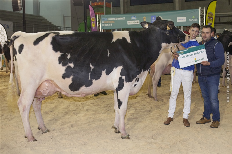 Manteiga Shottle Luna (Ganadera Manteiga), Vaca Adulta Campeona y Gran Campeona Reserva