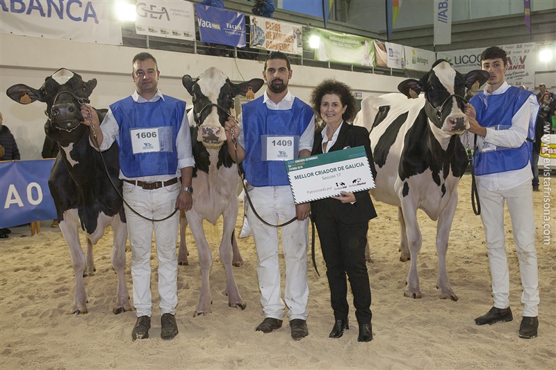 Rei de Miotelo, Mejor Criador de Galicia