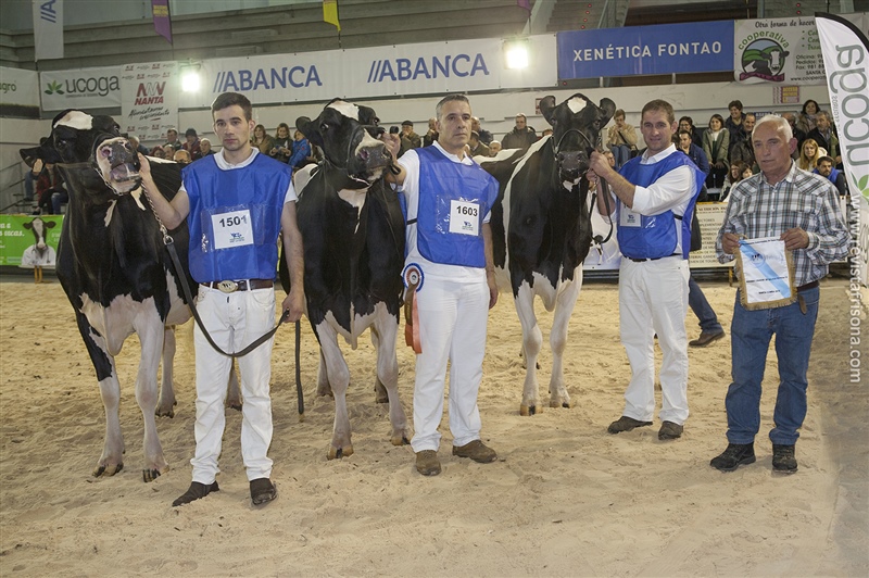 Pozo, Segundo Mejor Criador de Galicia