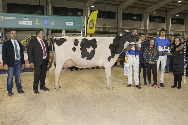 Rey 642 Yudi Doorman (Rei de Miotelo), Vaca Intermedia Campeona y Vaca Gran Campeona Fefriga'18