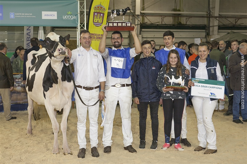 La familia de Rei de Miotelo y Yudi, la Vaca Gran Campeona