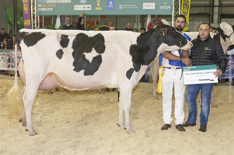 Rey 642 Yudi Doorman (Rei de Miotelo), Vaca Intermedia Campeona y Vaca Gran Campeona Fefriga'18