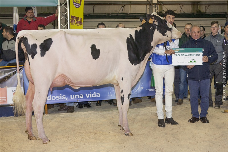 Rey 747 July High Octane (Rei de Miotelo), Vaca Joven Campeona