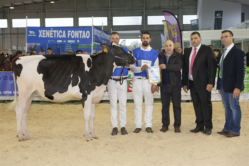 Rey 833 Beemer Zonal (Rei de Miotelo), Ternera Campeona