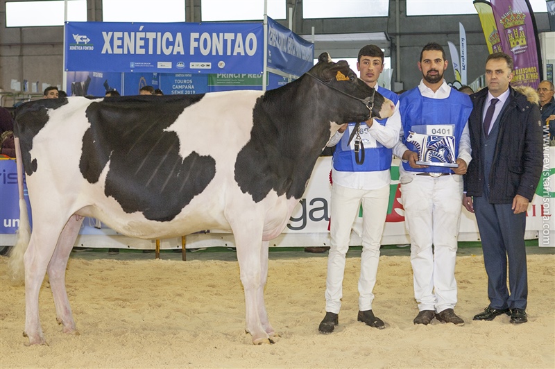 Rey 760 Zyna High Octane (Rei de Miotelo), Novilla Campeona y Gran Campeona de Galicia