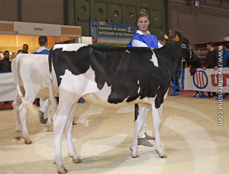 1 Seccin - 1 Gallega: Casa-Nova Alicia de Carro ET