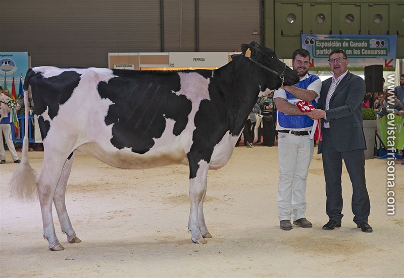 Novilla Campeona de Galicia: Casa-Nova Electra Lamborgini