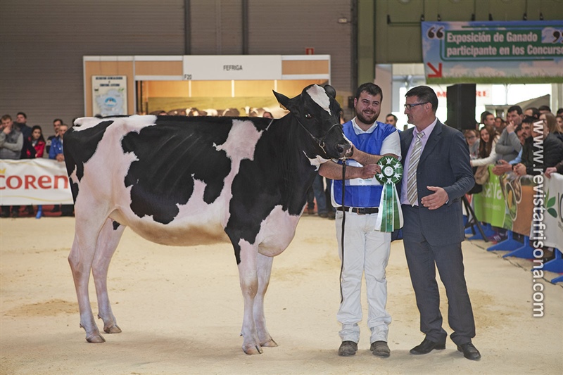 Novilla Campeona Internacional GandAgro'19: Casa-Nova Electra Lamborgini