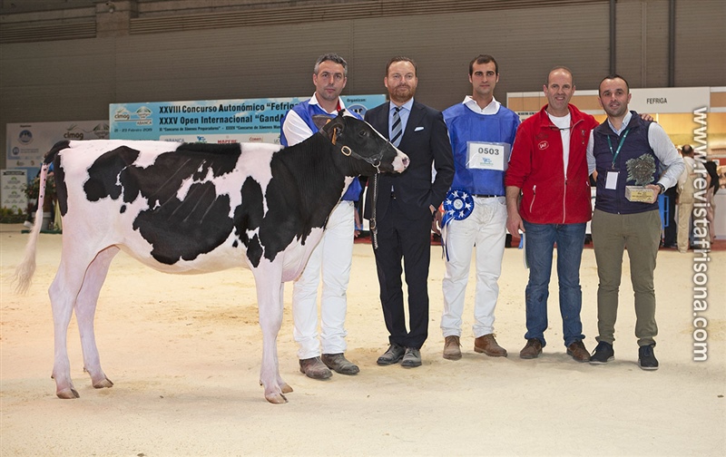 Novilla Gran Campeona Internacional GrandAgro'19: Cudaa Amok Solomon ET