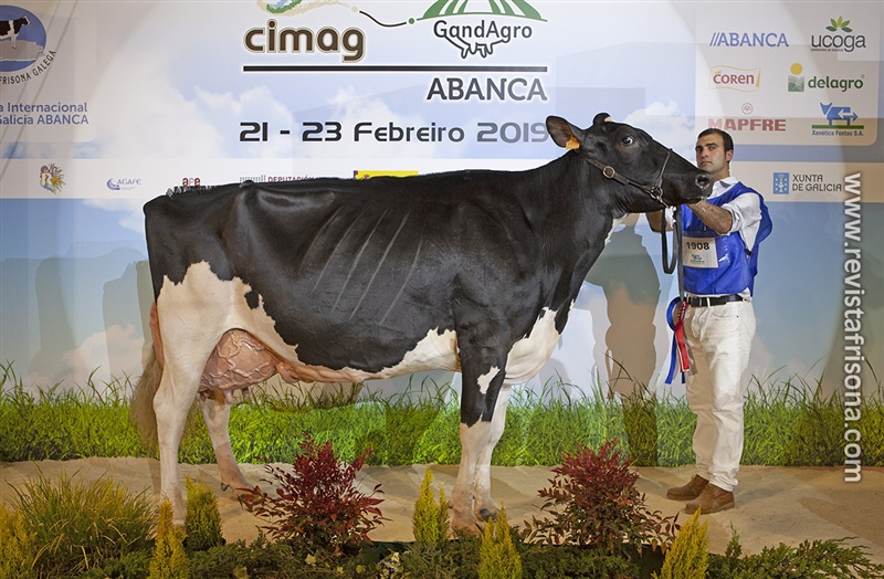 19 Seccin - 1 Internacional: Quintana Julia Windbrook