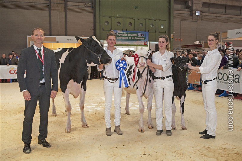 Mejor Criador de Novillas Gallego: Ganadera Carro