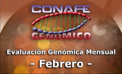 Pruebas Genmicas Febrero 2018