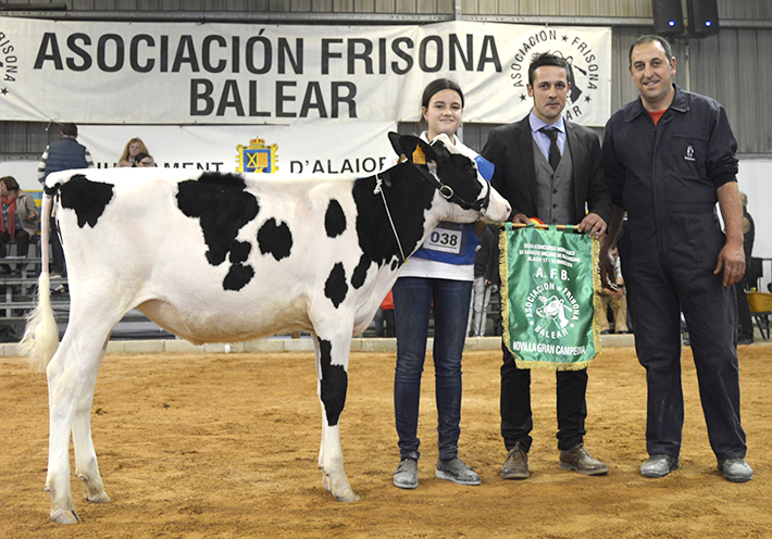 4459 Novilla Gran Campeona Menorca 18