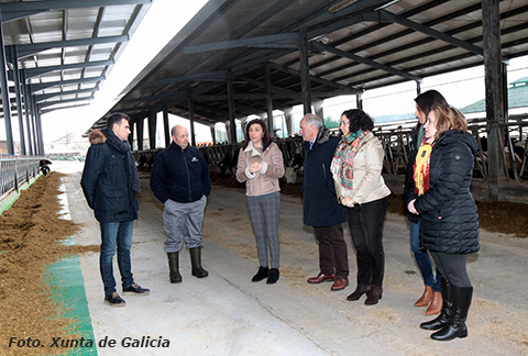 La Xunta prioriza la pertenencia de las ganaderas a un ncleo de Control Lechero Oficial en la concesin de ayudas 