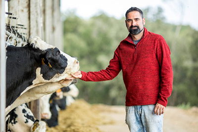 4469 El IRTA colabora con Danone en el bienestar de los animales 