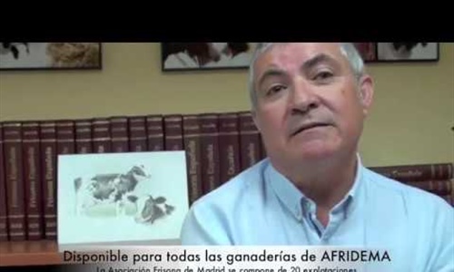 Se inicia el proyecto de implementacin de la seleccin genmica en el...