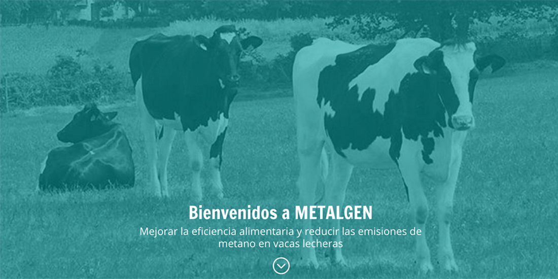 CONAFE y METALGEN trabajan en la mejora de la eficiencia alimentaria y...