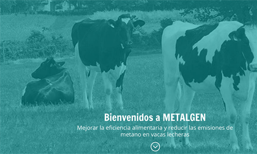 CONAFE y METALGEN trabajan en la mejora de la eficiencia alimentaria y...