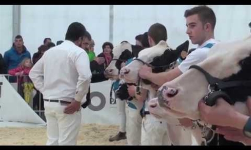 Vdeo: Concurso de Jvenes Preparadores FEFRIC 2018