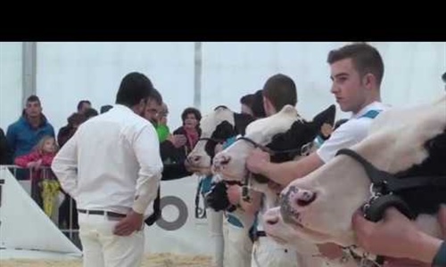 Vdeo: Concurso de Jvenes Preparadores FEFRIC 2018