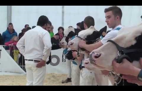 Vdeo: Concurso de Jvenes Preparadores FEFRIC 2018