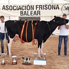 Son Quart Delete Jeyn, Vaca Gran Campeona de Mallorca 2018