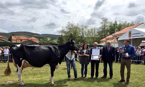 Llinde Ariel Jordan, de la ganadera S.A.T. Ceceo, Vaca Gran Campeona...