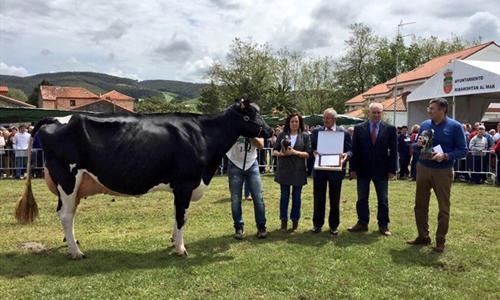 Llinde Ariel Jordan, de la ganadera S.A.T. Ceceo, Vaca Gran Campeona...