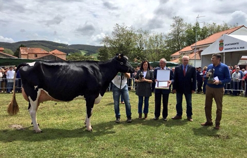 Llinde Ariel Jordan, de la ganadera S.A.T. Ceceo, Vaca Gran Campeona...